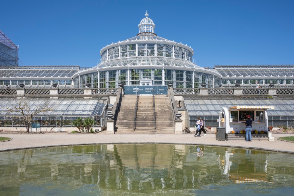 The Palm House